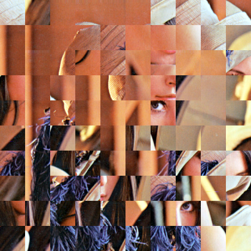 Lena squares size 50